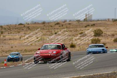 media/May-03-2025-Lucky Dog Racing (Sat) [[206de64b9d]]/Turn 6 (150pm-230pm)/